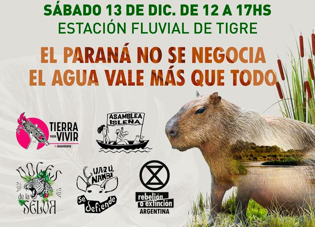 Hoy convocan un festival en Tigre para defender el Paraná