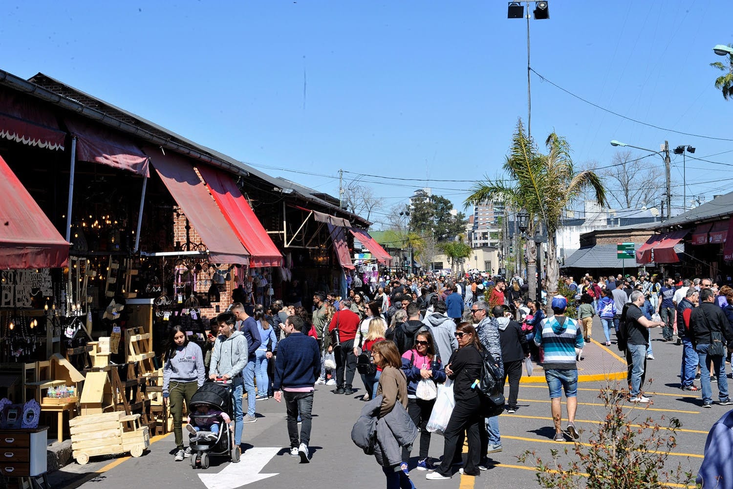 Vacaciones de invierno en el Puerto de Frutos de Tigre